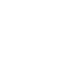 Icon-06-1